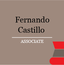 Fernando	Castillo V.