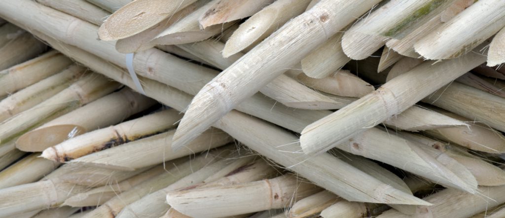 The firm advised Pantaleon in the acquisition of 99% of the stock Ingenio el Mante