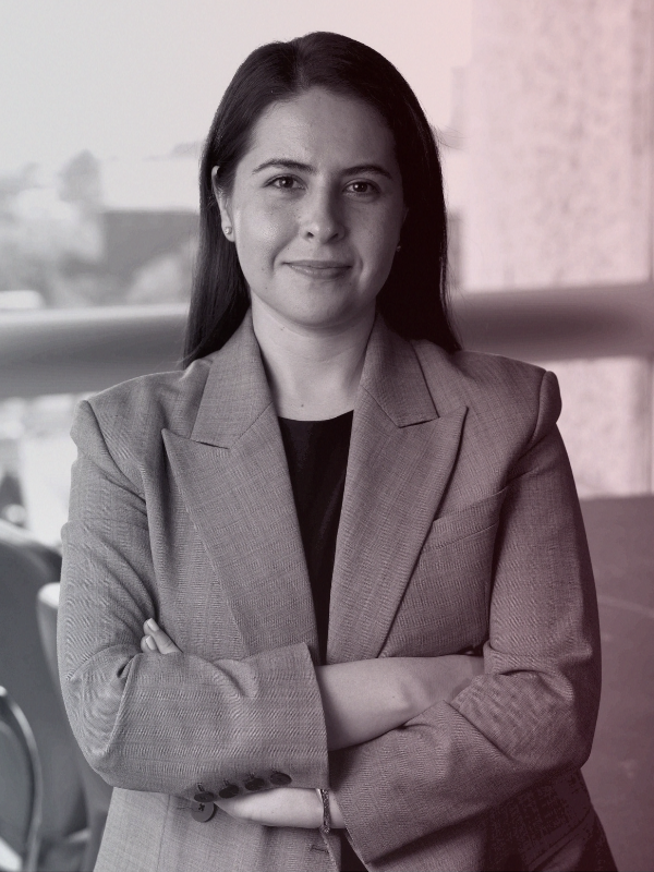 Sandra E. Portillo R.